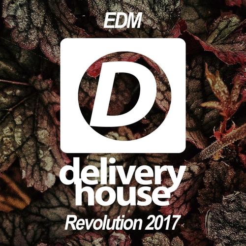 EDM Revolution 2017