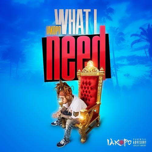 What I Need (Explicit)