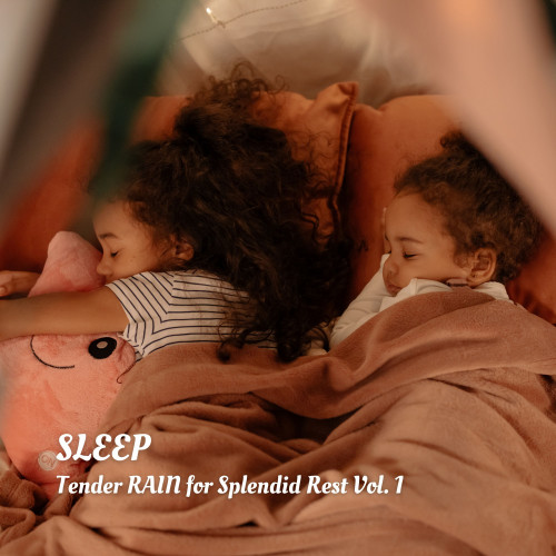 SLEEP: Tender RAIN for Splendid Rest Vol. 1