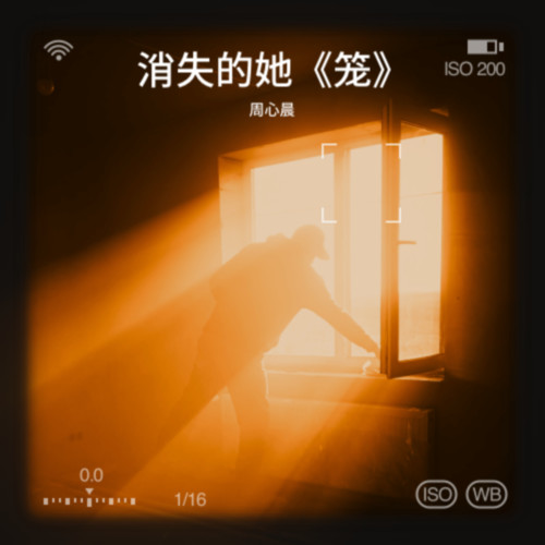 消失的她《笼》