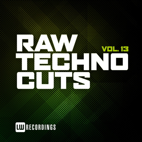 Raw Techno Cuts, Vol. 13 (Explicit)