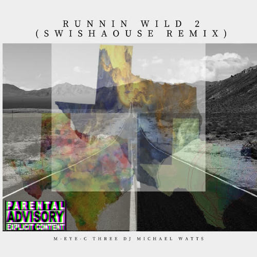 Runnin Wild 2 (Swishaouse Remix)