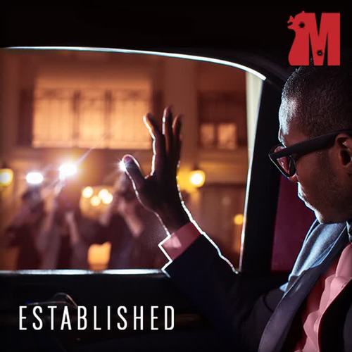 Made, Vol. 22: Established (Explicit)