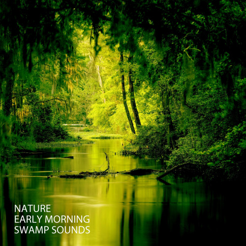 Nature: Early Morning Swamp Sounds