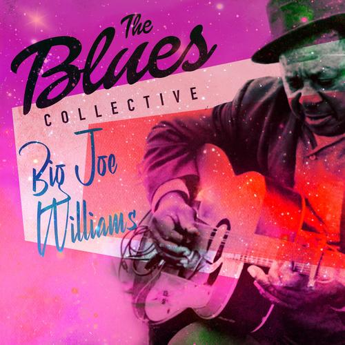 The Blues Collective - Big Joe Williams