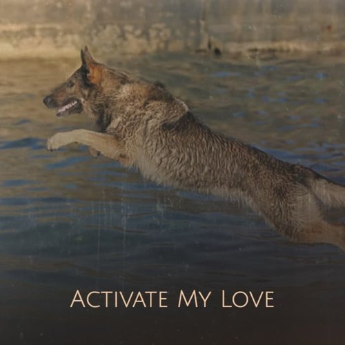 Activate My Love