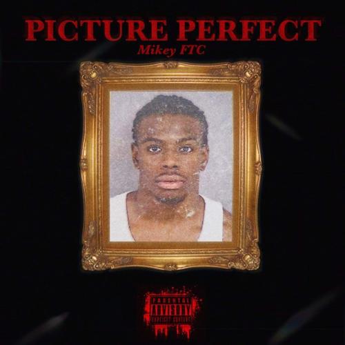 Picture Perfect (Explicit)