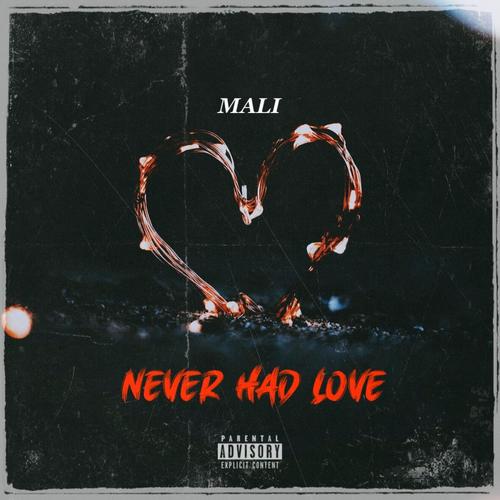 Never Had Love (Explicit)