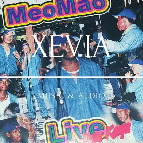 Live Den Kaya