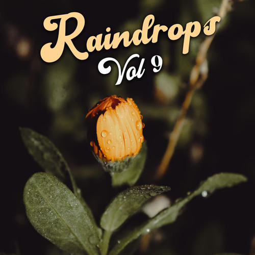 Raindrops Vol 9 (Explicit)