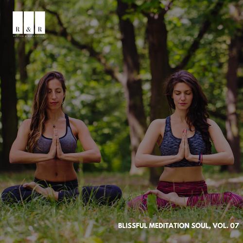 Blissful Meditation Soul, Vol. 07