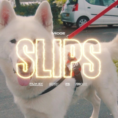 SLIPS (Explicit)