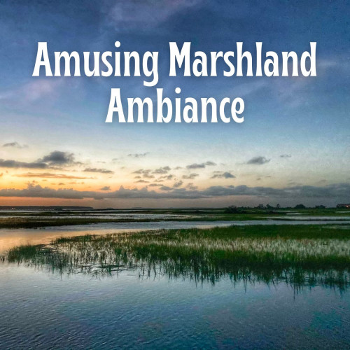 Amusing Marshland Ambiance