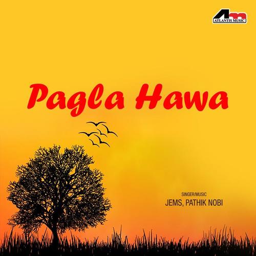 Pagla Hawa