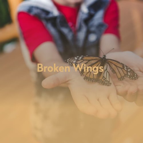 Broken Wings