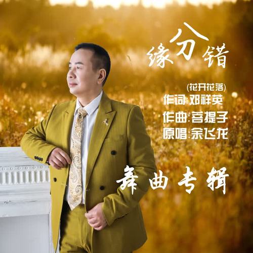 缘分错-舞曲专辑版