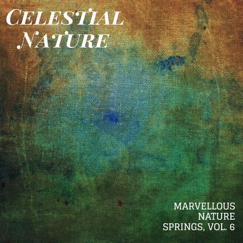 Celestial Nature - Marvellous Nature Springs, Vol. 6