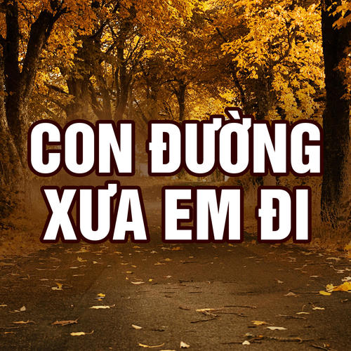 Con Đường Xưa Em Đi