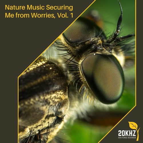 Nature Music Securing Me from Worries, Vol. 1