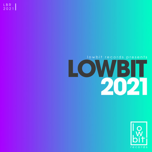 Lowbit 2021