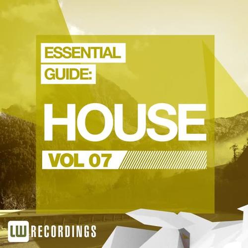 Essential Guide: House Vol. 07