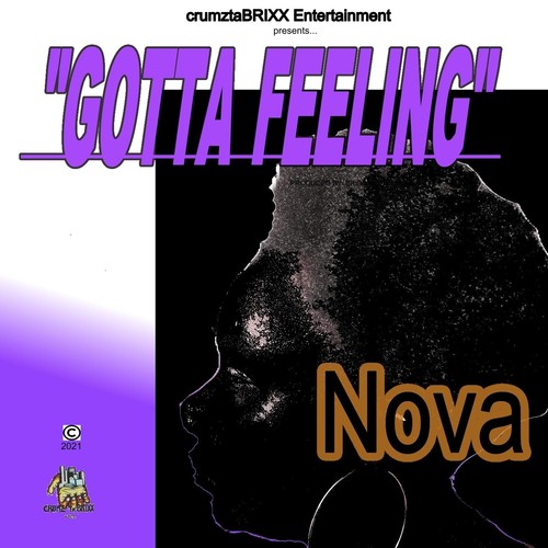 Gotta Feeling (feat. Nova)