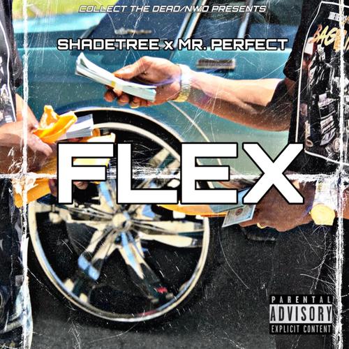 FLEX (Explicit)