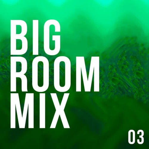 Big Room Mix 03