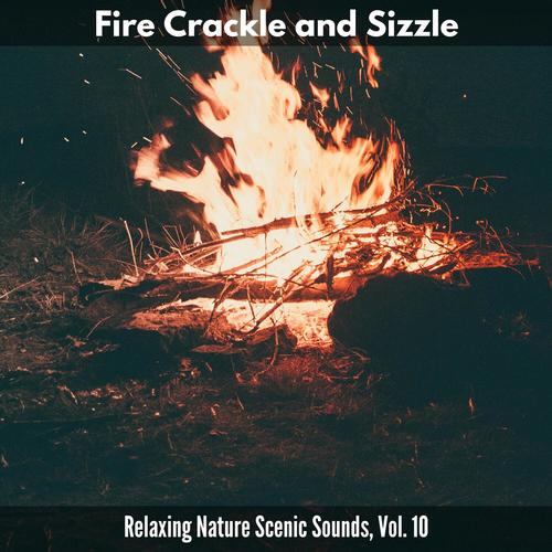 Fire Crackle and Sizzle - Relaxing Nature Scenic Sounds, Vol. 10