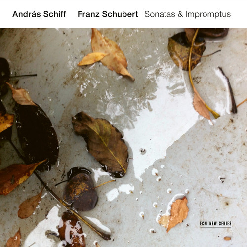 Schubert: 4 Impromptus, Op. 90, D. 899: 3. Andante