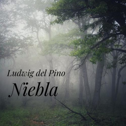 Niebla