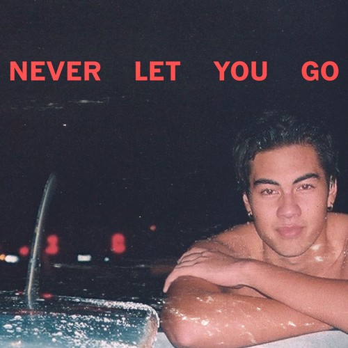Never Let You Go