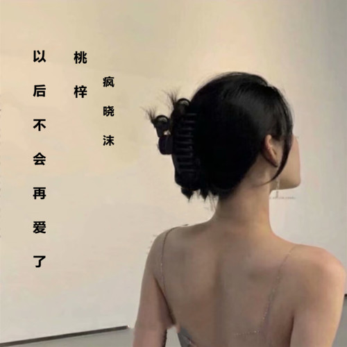以后不会再爱了