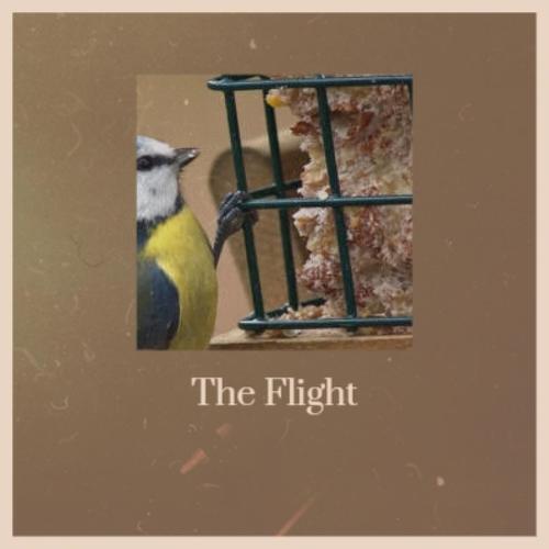 The Flight