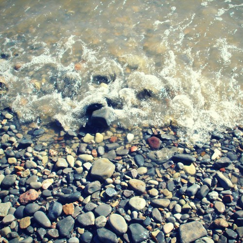 Sea Sounds, Vol 1