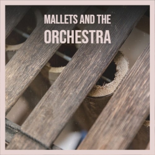 Mallets and the Orchestra