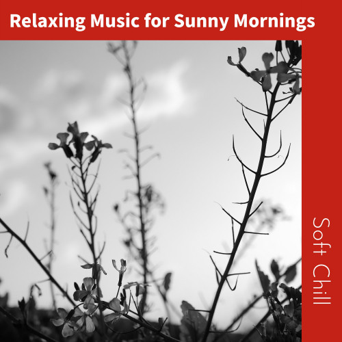 Relaxing Music for Sunny Mornings