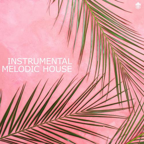 Instrumental Melodic House