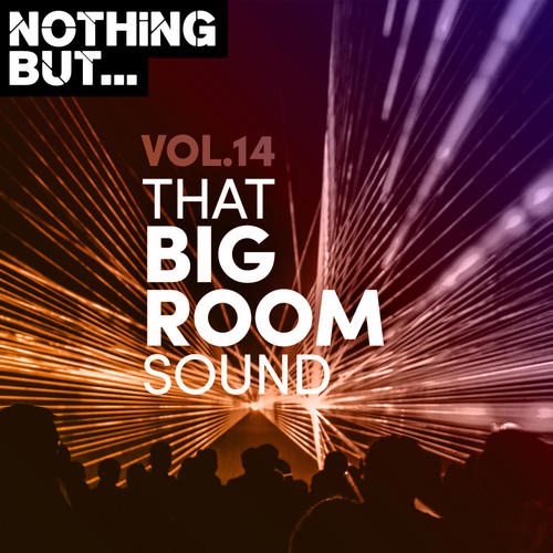 Nothing But... That Big Room Sound, Vol. 14 (Explicit)