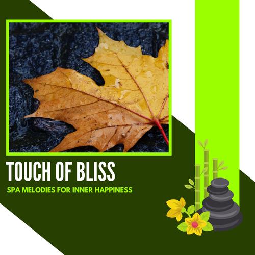 Touch Of Bliss - Spa Melodies For Inner Happiness