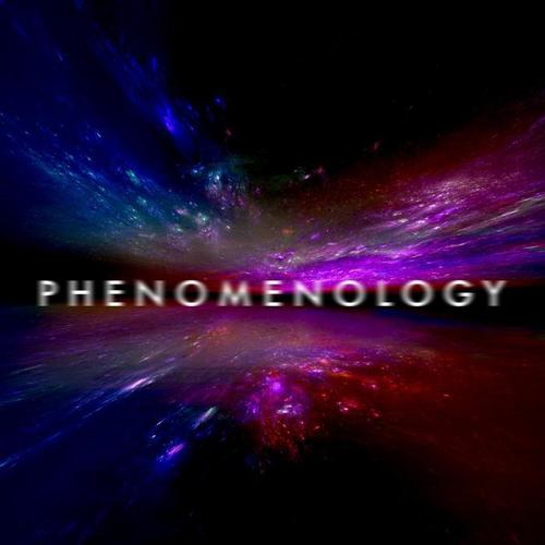 Phenomenology