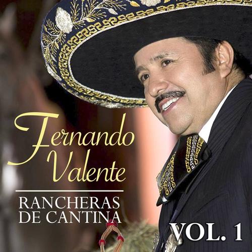 Rancheras de Cantina (Vol. 1)