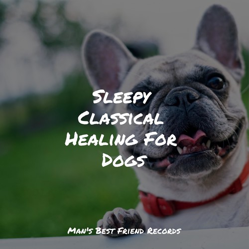 Sleepy Classical Healing For Dogs