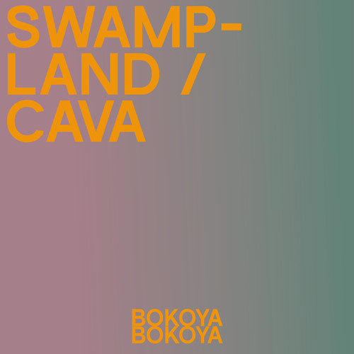 Swampland / Cava