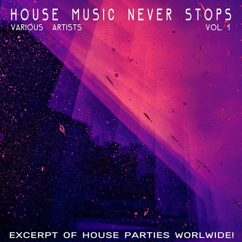 House Music Never Stops, Vol. 1