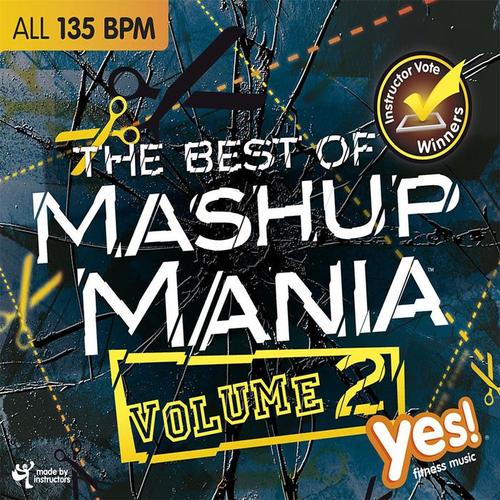 THE BEST OF MASHUP MANIA 2