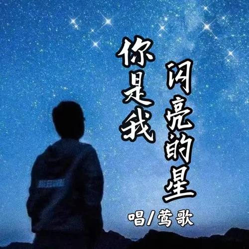 你是我闪亮的星