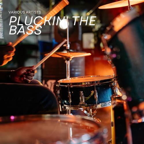 Pluckin' The Bass