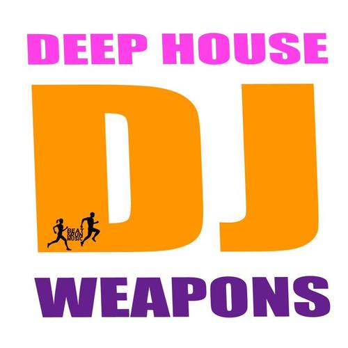 Deep House DJ Weapons