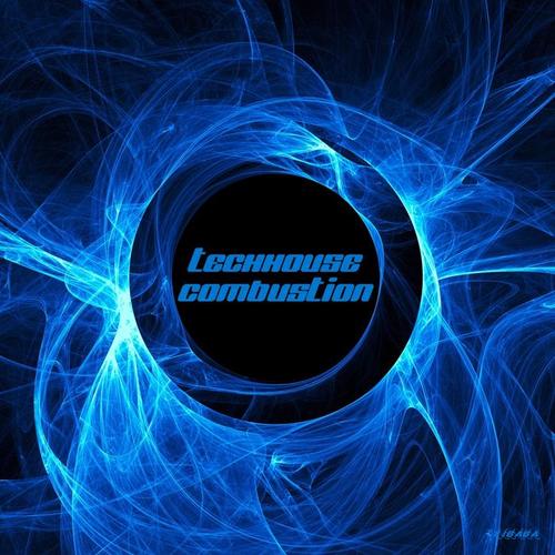 Techhouse Combustion